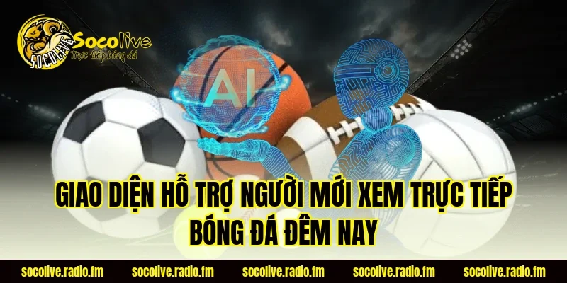 Giao diện hỗ trợ người mới xem trực tiếp bóng đá đêm nay