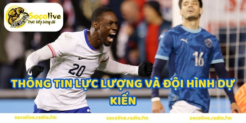 Thông tin lực lượng và đội hình dự kiến Mỹ vs Paraguay